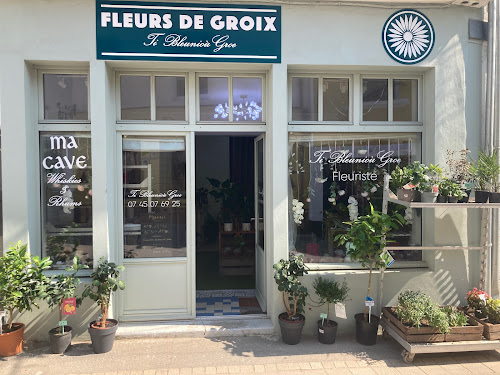 Fleurs de Groix à Groix