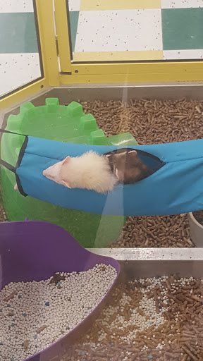 Pet Supply Store «Pet Supplies Plus», reviews and photos, 30450 Lakeshore Blvd, Willowick, OH 44095, USA