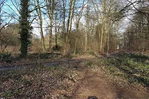 Lings Wood Nature Reserve image