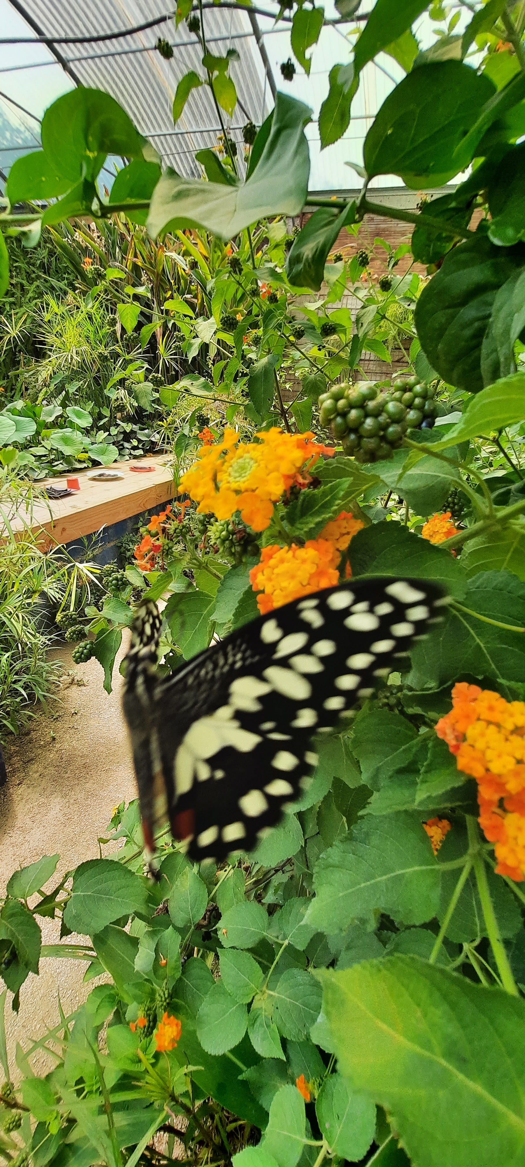 Photo n° 44 de l'avis de Follow.e fait le 28/07/2021 à 17:27