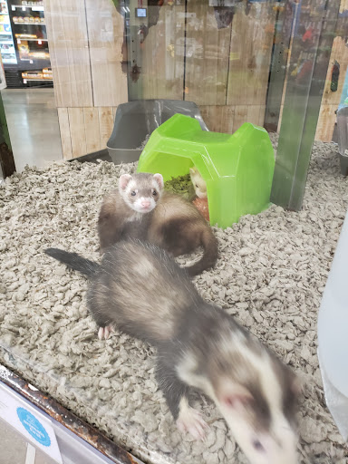 Pet Supply Store «Petco Animal Supplies», reviews and photos, 839 New York Ave, Huntington, NY 11743, USA