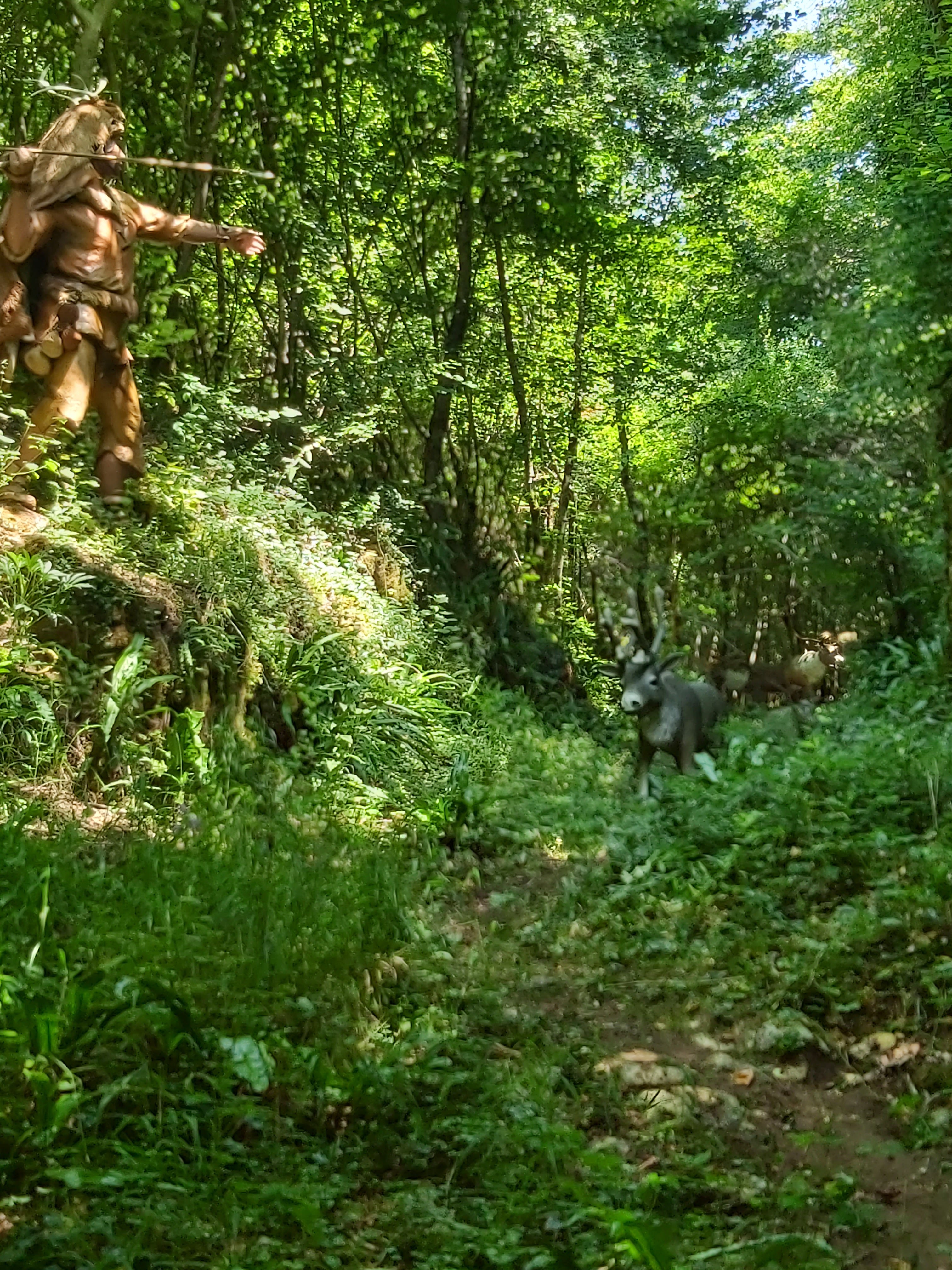 Photo n° 4 de l'avis de Emeline.o fait le 20/07/2021 à 15:28