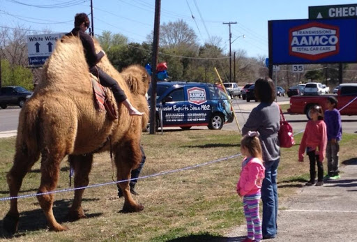 Transmission Shop «AAMCO Transmissions & Total Car Care», reviews and photos, 1402 S Seguin Ave, New Braunfels, TX 78130, USA