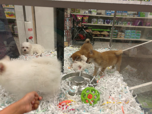 Pet Store «Pet City Pet Shops», reviews and photos, 750 Citadel Dr N # 2092, Colorado Springs, CO 80909, USA