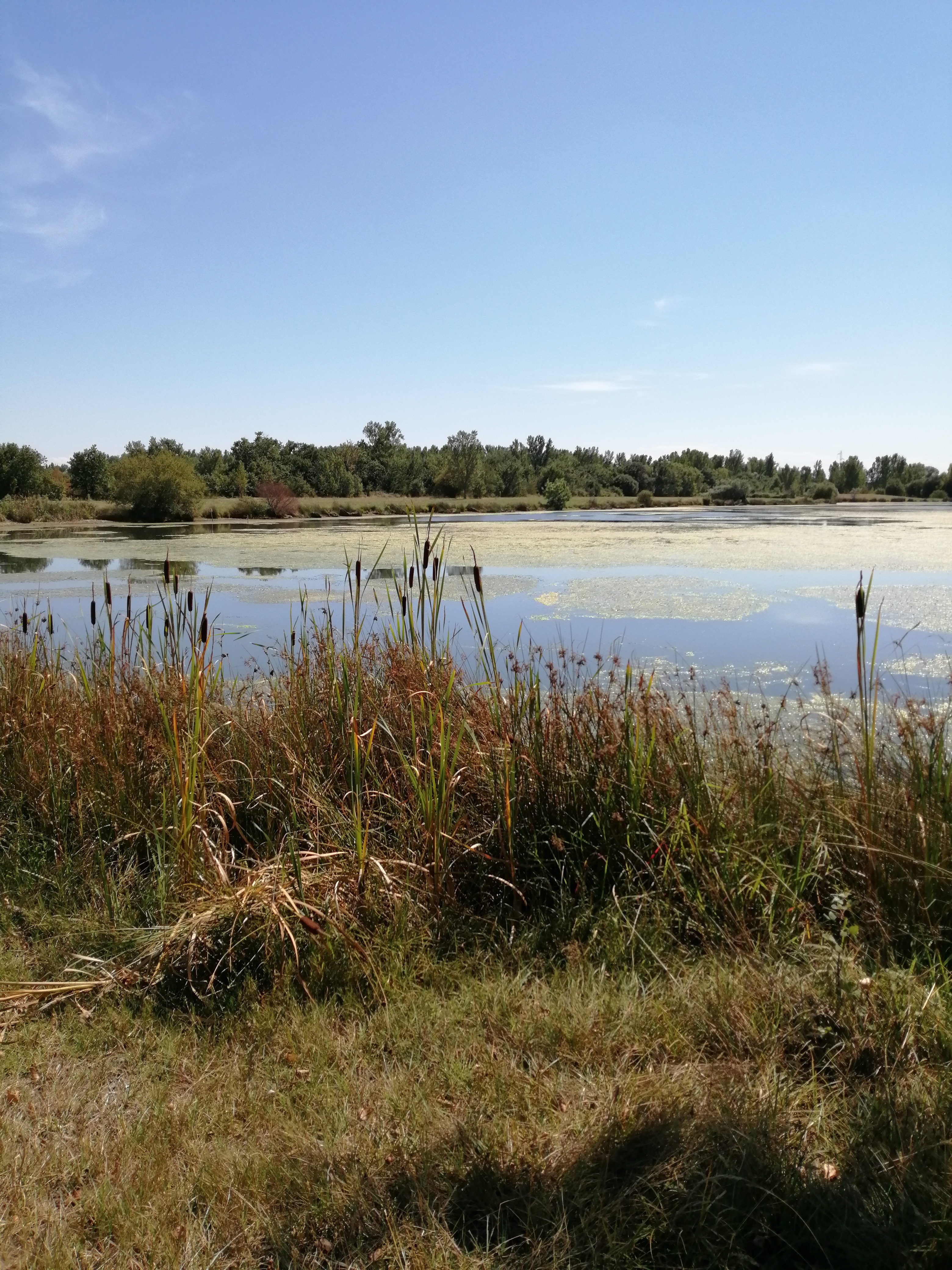 Photo n° 1 de l'avis de ERIC.R fait le 08/08/2019 à 16:25