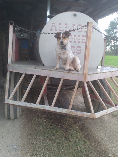 Farm «Bottom View Farm», reviews and photos, 185 Wilkerson Ln, Portland, TN 37148, USA