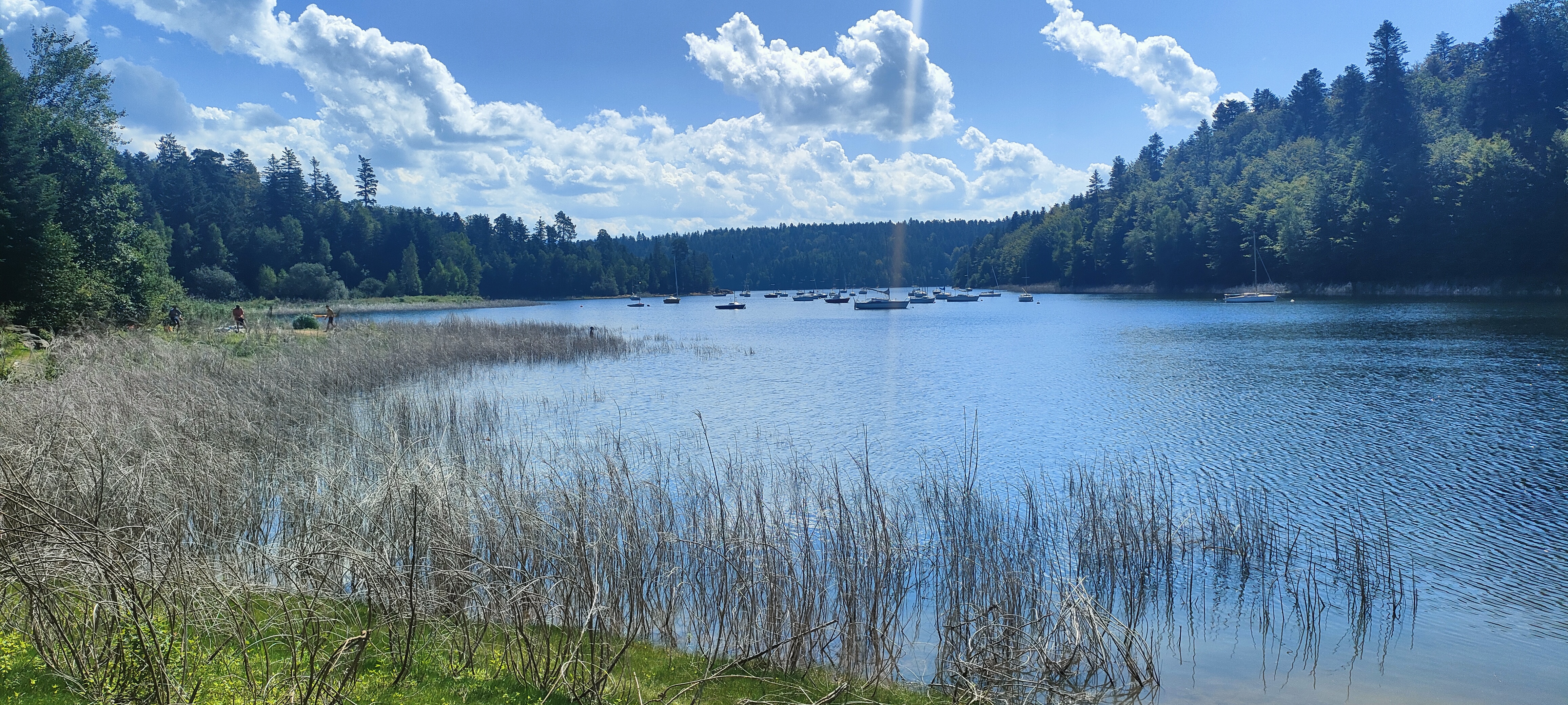 Photo n° 1 de l'avis de Déborah. fait le 21/08/2023 à 17:22