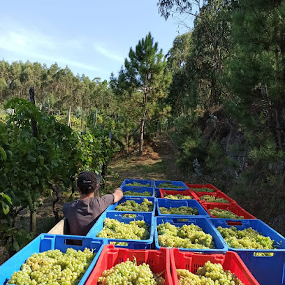 Quinta da Pegadinha