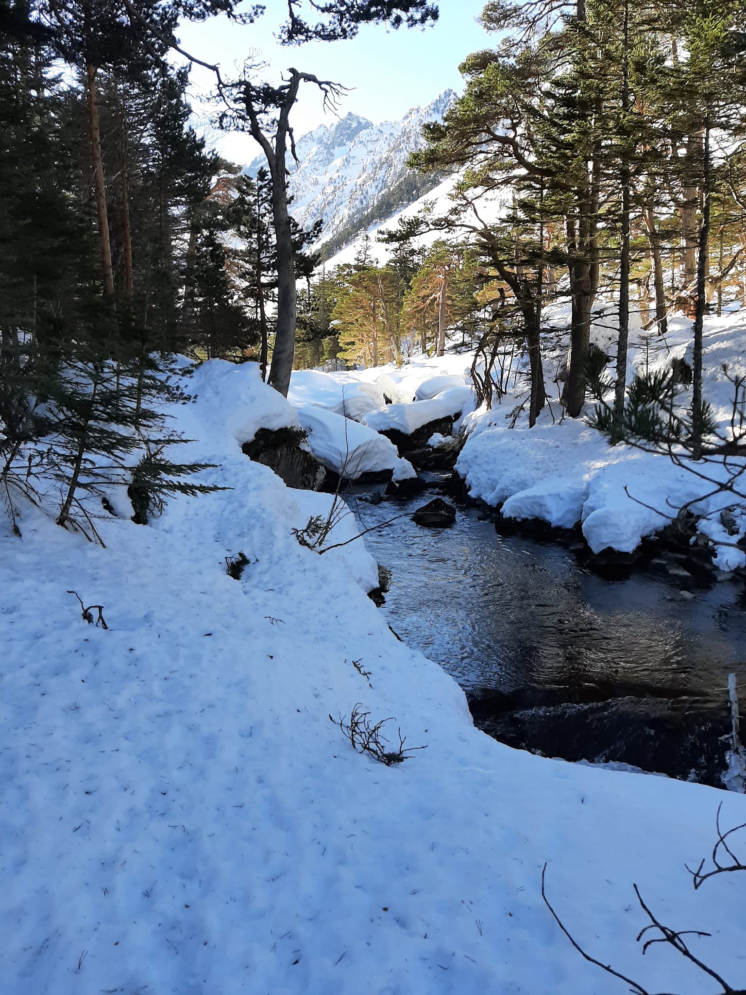 Photo n° 1 de l'avis de Blayze.K fait le 25/12/2021 à 16:53