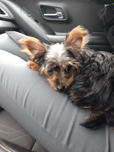 90 Airport Rd, Warwick, RI 02889, USA