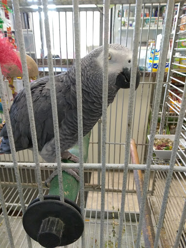 Pet Store «Suncoast Pets», reviews and photos, 7117 US-98, Panama City Beach, FL 32407, USA