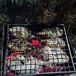 Photo n°1 de l'avis de Leonardo.i fait le 25/08/2021 à 12:23 sur le  Pescato e Mangiato - Paolo Fanciulli - Aperto su prenotazione à Talamone