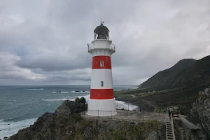 Cape Palliser Lighthouse image
