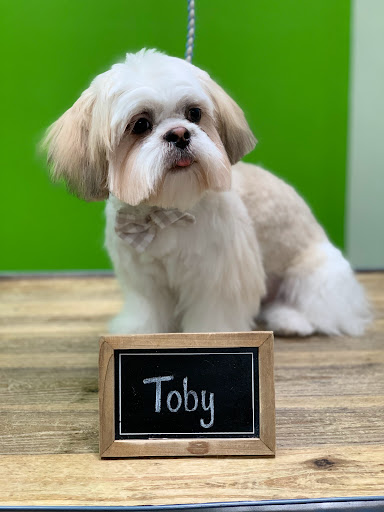 Pets Planet Grooming Shop