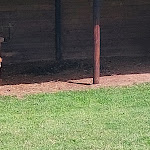 Photo n° 9 de l'avis de NB.. fait le 15/08/2021 à 17:49 pour La Petite Bray'tagne à Blacourt