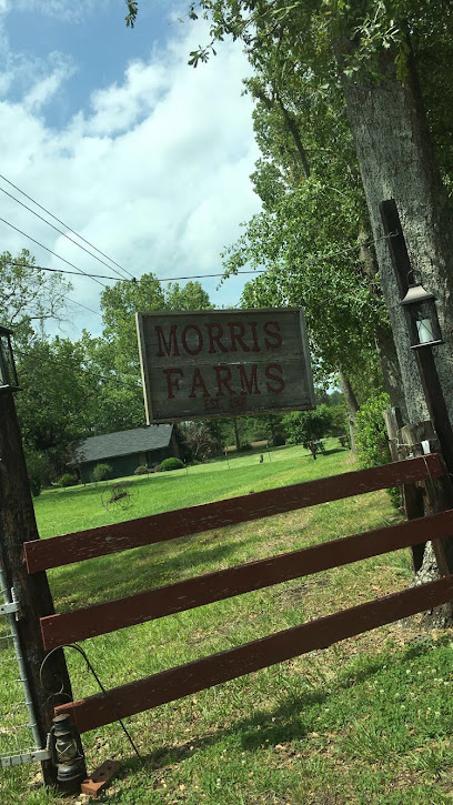 Morris Farms