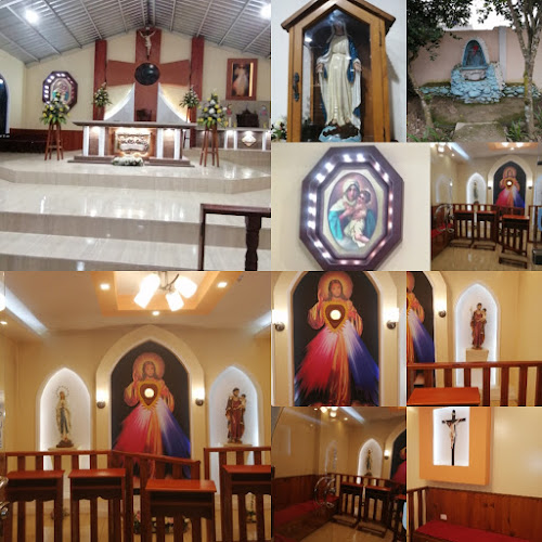 Opiniones de Iglesia Catolica Santo Hermano Miguel en Santo Domingo de los Colorados - Iglesia