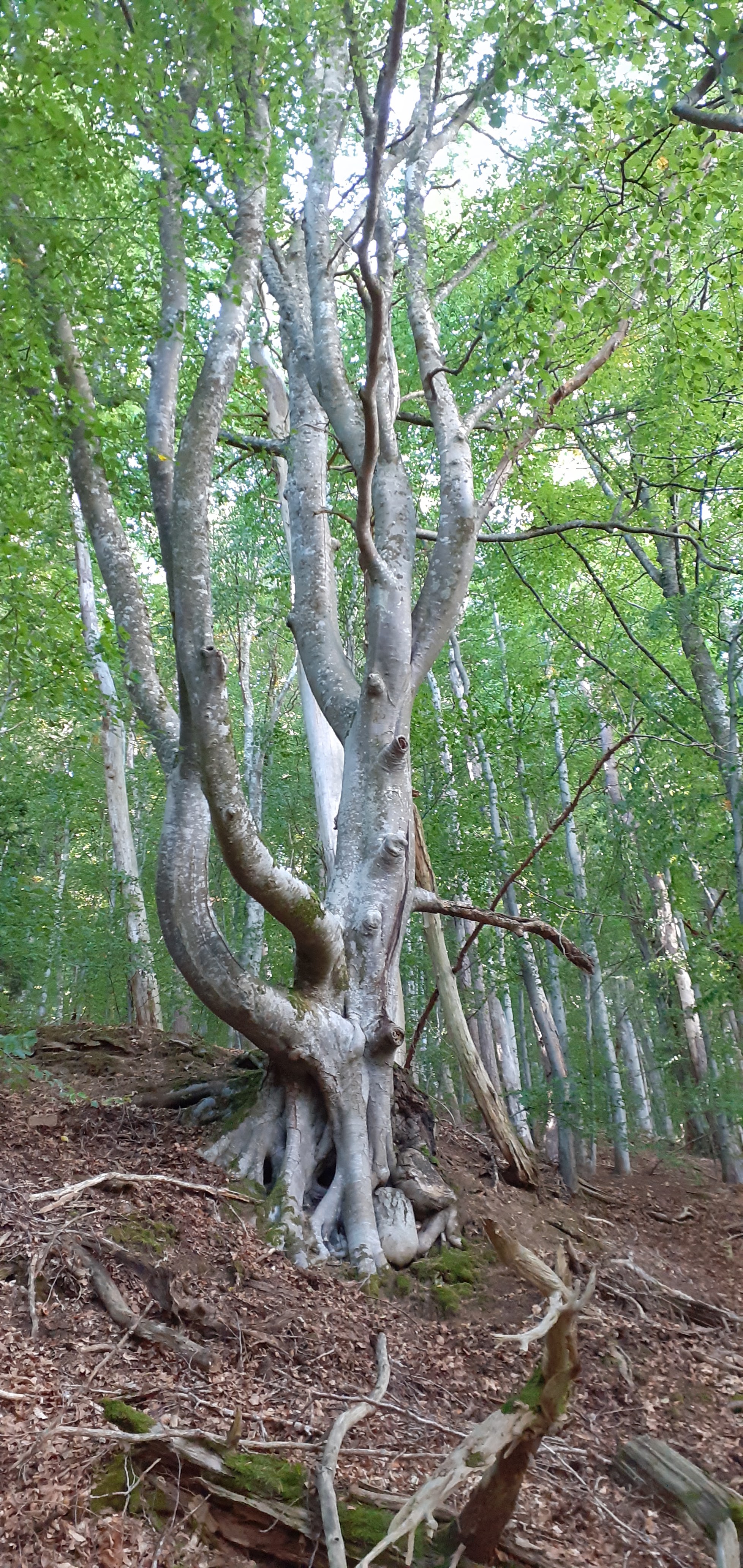 Photo n° 3 de l'avis de Jean.A fait le 17/09/2022 à 13:57