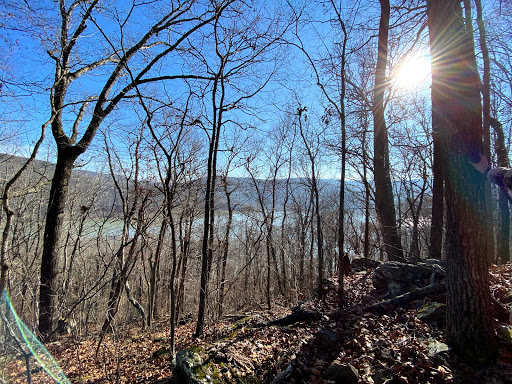 Shepherd Spring Loop