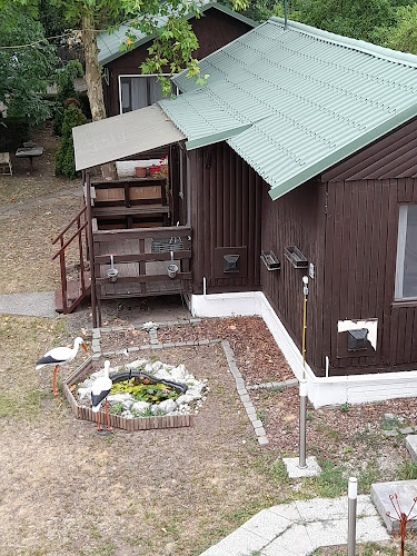 Nefelejcs Hotel - Szálloda