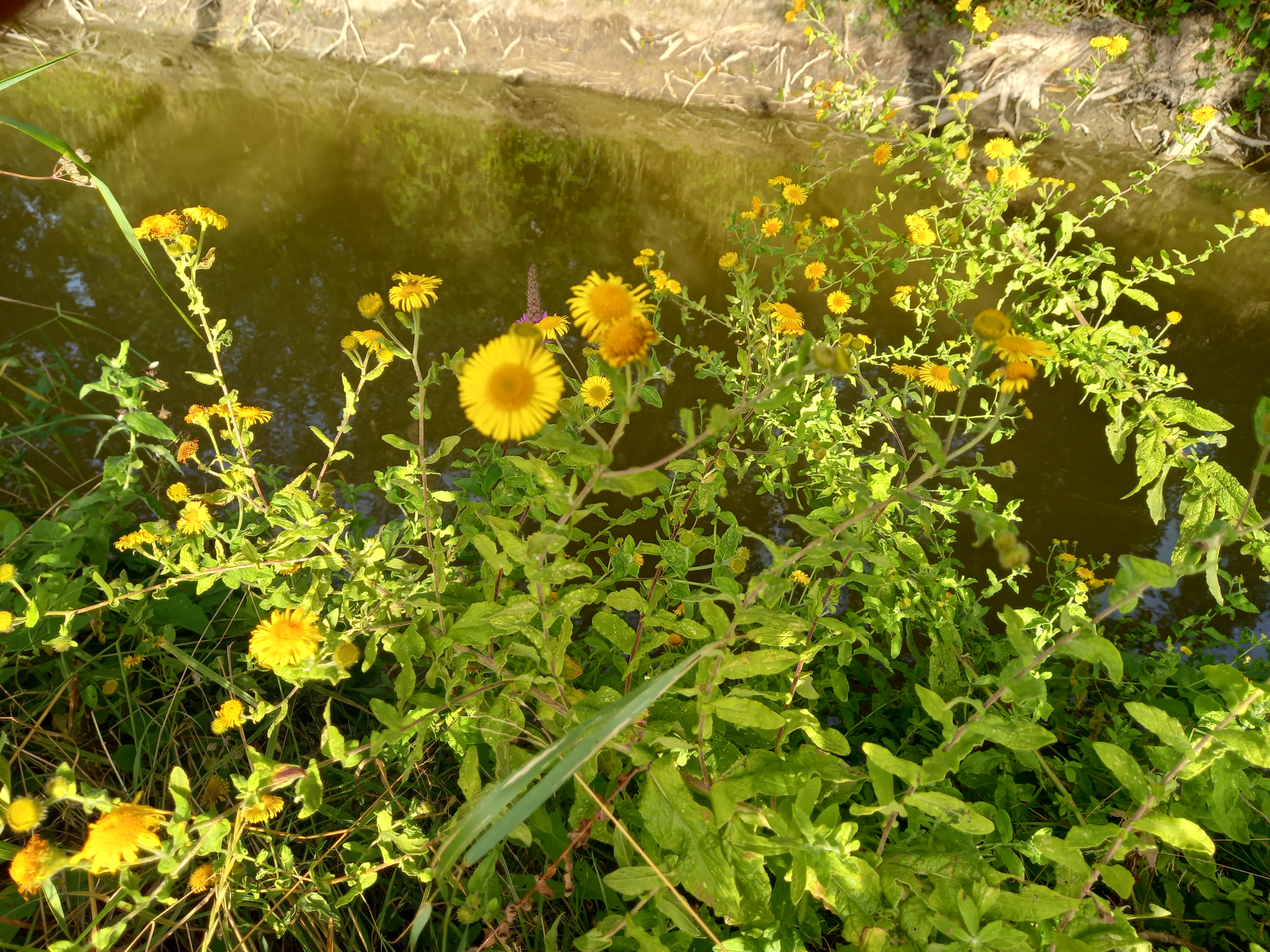 Photo n° 8 de l'avis de Adelphine.i fait le 10/08/2023 à 18:54
