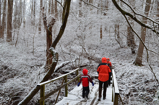 Nature Preserve «Ashland Nature Center of Delaware Nature Society», reviews and photos, 3511 Barley Mill Rd, Hockessin, DE 19707, USA