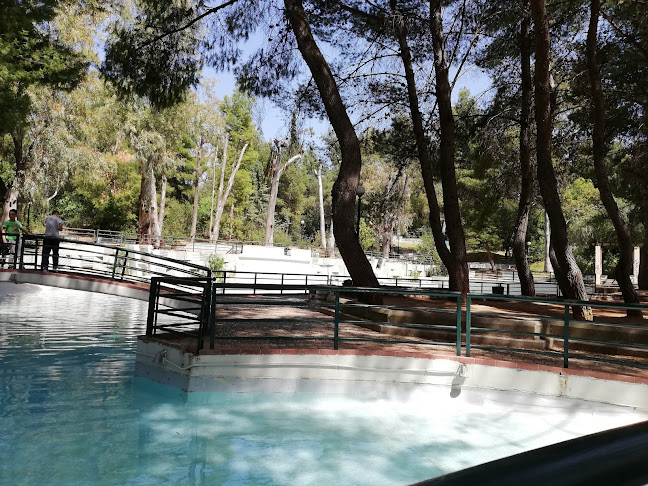 Άλσος Παπάγου