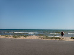 Zdjęcie ThompsonRogers Beach położony w naturalnym obszarze