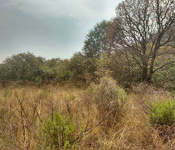 Ex Hacienda Las Animas photo