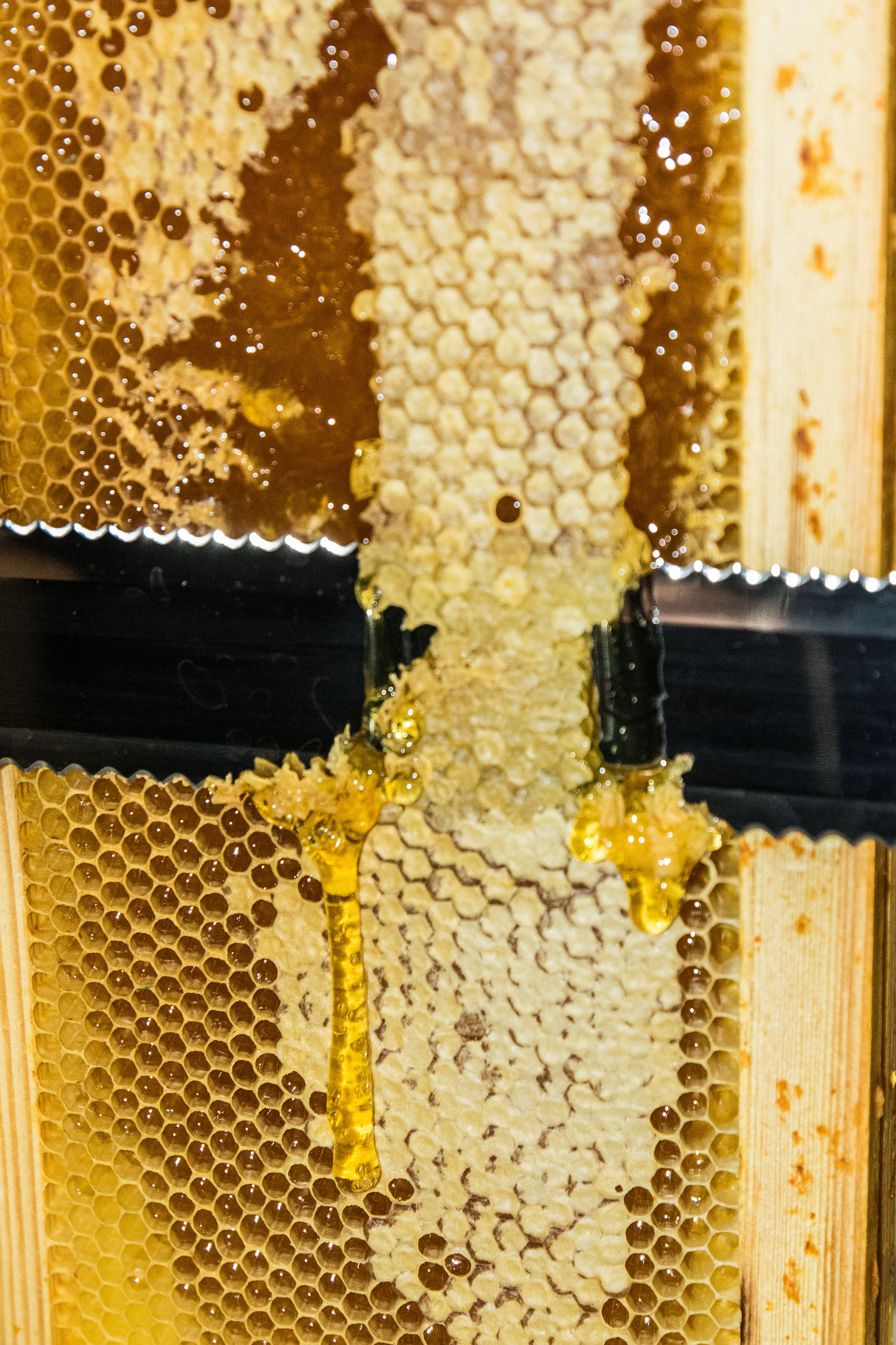 Photo n° 1 de l'avis de dugast.e fait le 22/10/2023 à 07:49