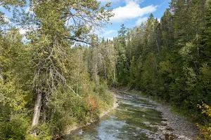 Parc de la Rivière Mitis image