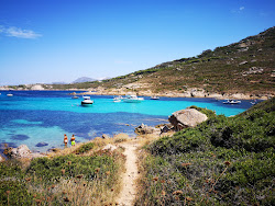 Photo de Alga beach avec un niveau de propreté de sale