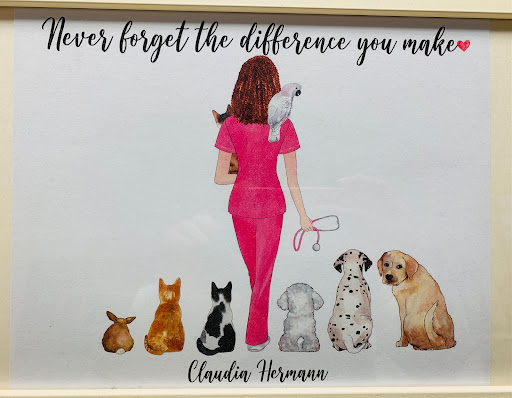 Claudia Hermann Vet unter Dachsbach, 