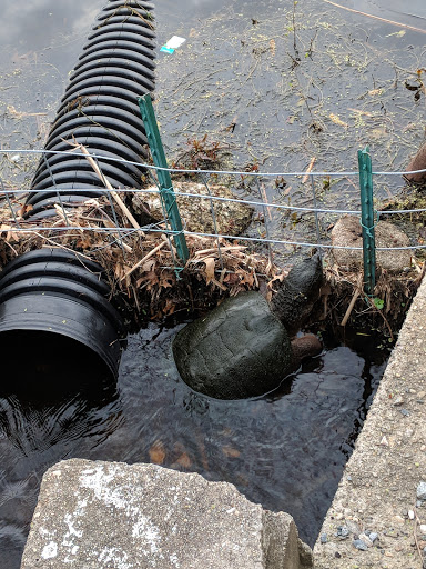 Park «Vietnam Veterans Park», reviews and photos, Treble Cove Rd, Billerica, MA 01821, USA