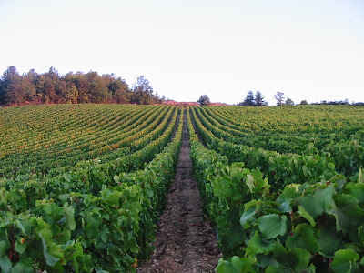 Domaine François Lumpp à Givry