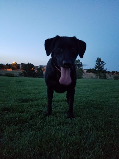 Park «Sage Creek Park», reviews and photos, 9500 Civic Center Dr, Thornton, CO 80229, USA