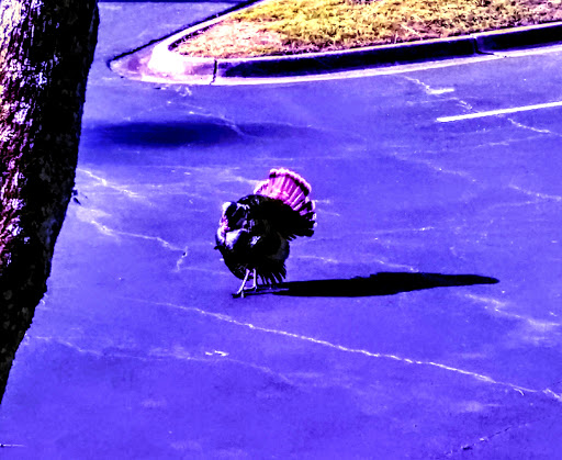 Park «Cochran Shoals - Powers Island», reviews and photos, 5450 Interstate N Pkwy, Sandy Springs, GA 30328, USA