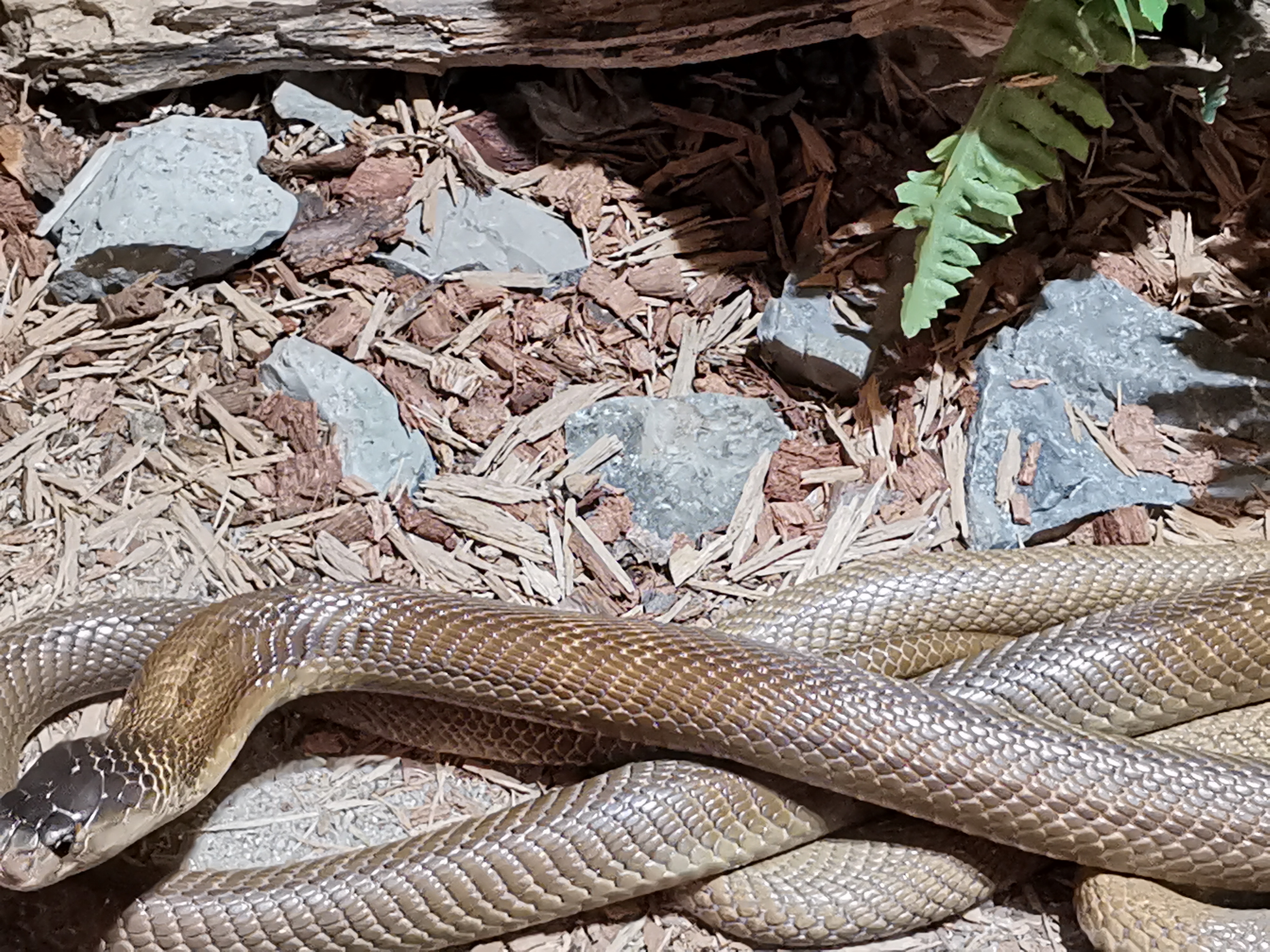 Photo n° 3 de l'avis de Jerome.a fait le 23/10/2021 à 18:04