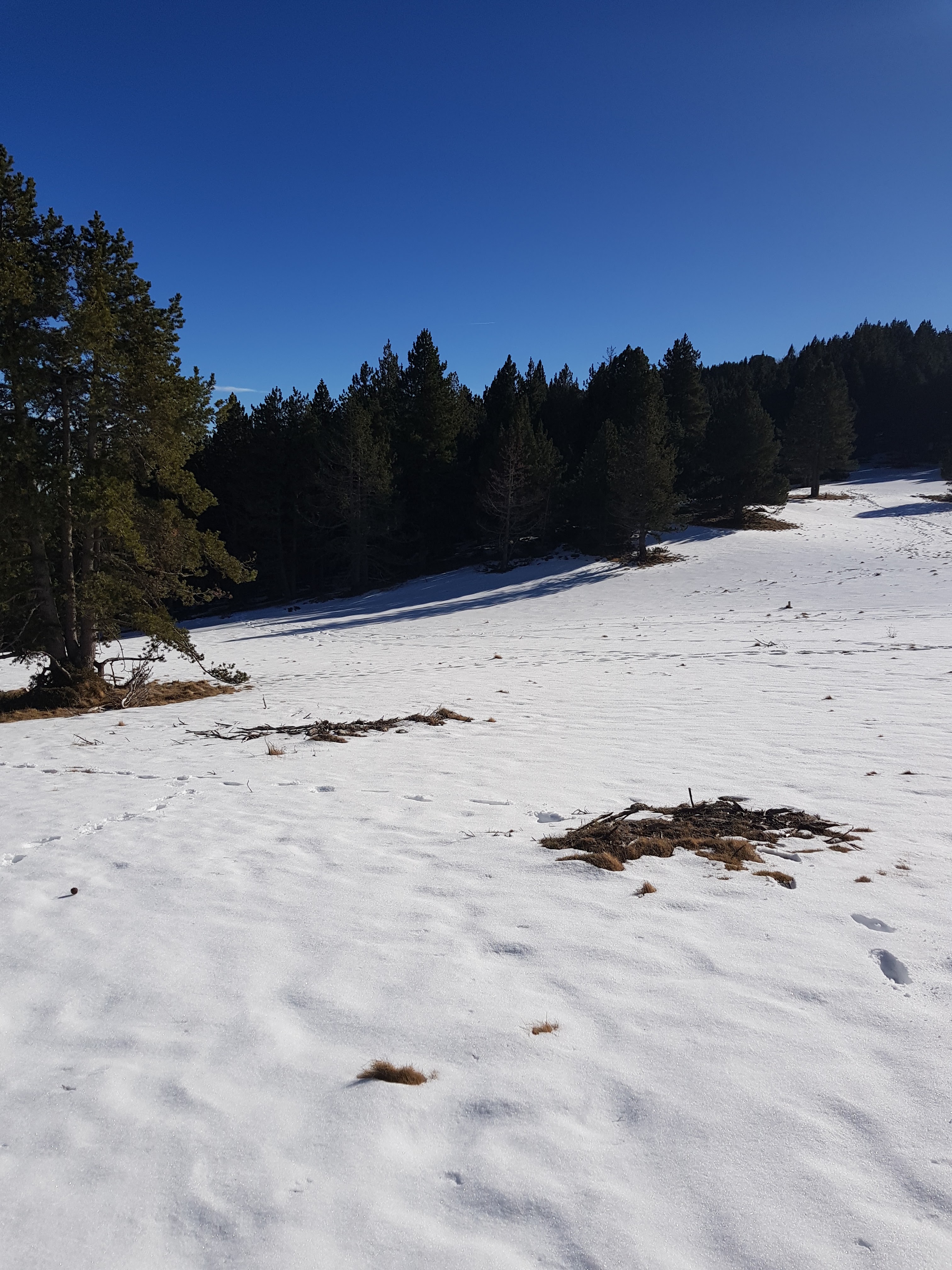 Photo n° 4 de l'avis de Delcourt.a fait le 12/04/2018 à 09:58