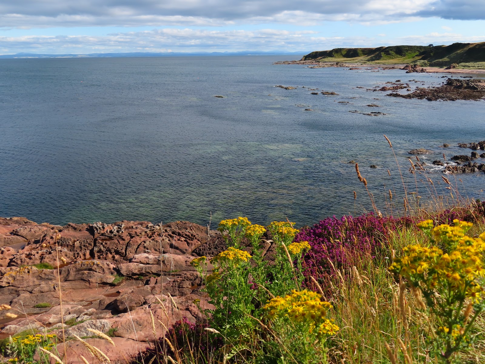 Foto von Tarbat Ness Lighthouse Beach befindet sich in natürlicher umgebung