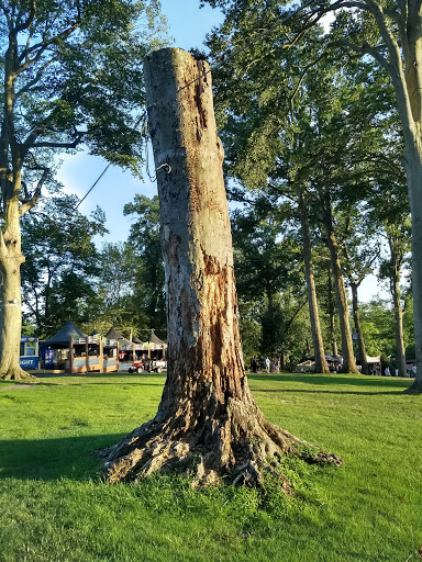 Amphitheater «Merriweather Post Pavillion», reviews and photos, 10475 Little Patuxent Pkwy, Columbia, MD 21044, USA