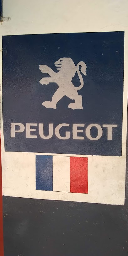 Auto Aires y partes Peugeot y VW