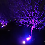 Photo n°3 de l'avis de Maik.c fait le 15/01/2021 à 12:07 sur le  Haus Piwipp à Dormagen