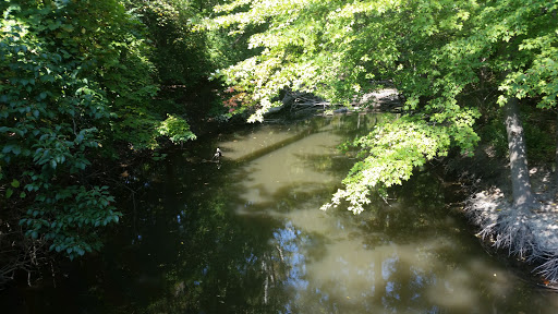 Park «Wayne County Parks & Rec», reviews and photos, 33175 Ann Arbor Trail, Westland, MI 48185, USA