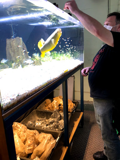 Tropical Fish Store «Aquarium Co-Op», reviews and photos, 9661 Firdale Ave, Edmonds, WA 98020, USA