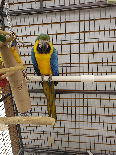 Pet Store «Pet World Warehouse Outlet», reviews and photos, 2148 W Beltline Hwy, Madison, WI 53713, USA