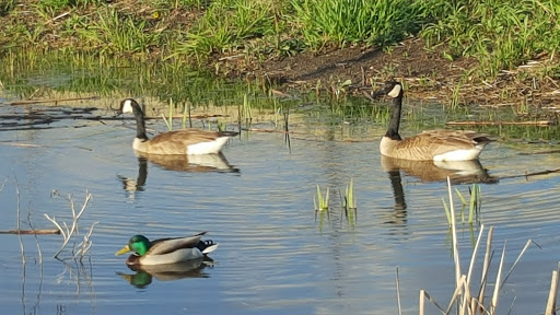 Park «RiverEdge Park», reviews and photos, 360 N Broadway, Aurora, IL 60505, USA