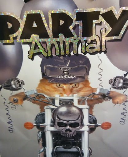 Dollar Store «Dollar Tree», reviews and photos, 963 Beards Hill Rd, Aberdeen, MD 21001, USA