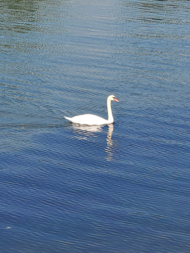 Park «Glen Island Park», reviews and photos, Weyman Ave, New Rochelle, NY 10805, USA