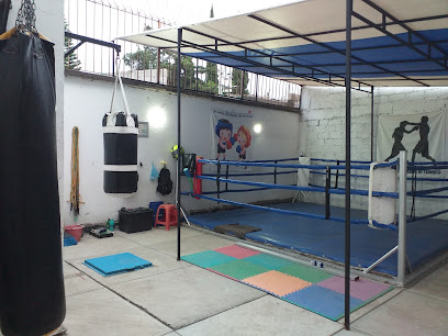 Escuela de Box Generación de Campeones (R.B.S.) - Av Torre Universidad 265-2, Sta Maria Guadalupe las Torres, 54743 Cuautitlán Izcalli, Méx., Mexico